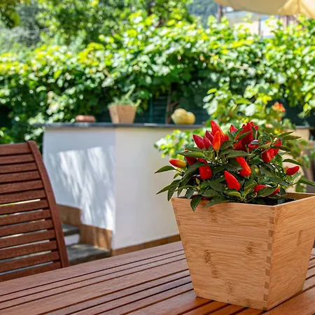 Maison d'hôtes Xenia House Sorrente